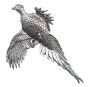 Bisley Pewter Pin No.2 Large Pheasant