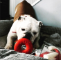 Sodapup Life Ring Treat Dispenser