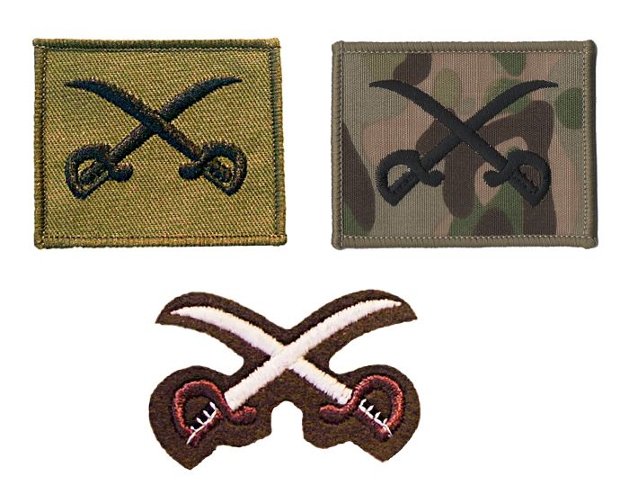 Physical Training Assistant Instructors Badge Qualification