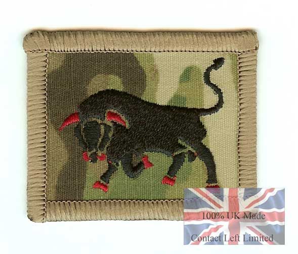 Multicam / MTP 11 Light Brigade TRF