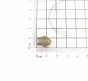 0598C8L36-886-Ruler